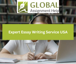 Unleash Your Writing Potential with Essay Writing Service