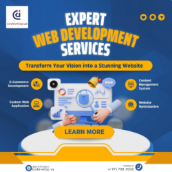 Expert Web Development Services