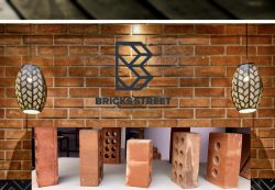 wire cut bricks – Bricks Street