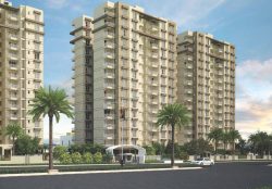 Best Things About 3 Bhk Residential Flats In Patia