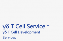 γδ T Cell Development