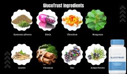 GlucoTrust Acheter | GlucoTrust Blood Sugar | GlucoTrust