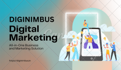 Diginimbus Digital Marketing Agency