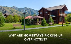 What Makes Homestays More Popular Than Hotels?