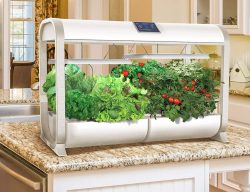 Dive into Hydroponics: Your Guide to Finding the Perfect Partner for Supplies