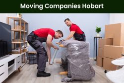 Our professionals can deliver the best moving companies Hobart services.