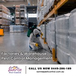 Commercial Pest Control Services In Melbourne