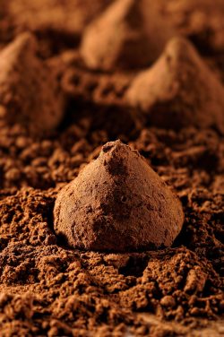 Decoding the Sweet Mystery: Is Chocolate Vegan?