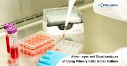 Identify the major disadvantage of primary cell disadvantages of cells