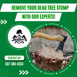 Get Complete Stump Elimination Services Today!