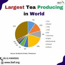 Largest Tea Producing in World – IBEF India