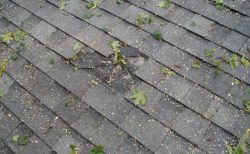 Leaking Roof Repairs