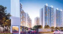 Luxury Apartments in DLF Phase 5, Gurgaon – DLF The Crest