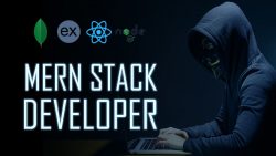 How To Start Your Career as a MERN Stack Developer?