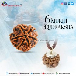 Offering 10% discount Buy 6 Mukhi Rudraksha Beads Online in India