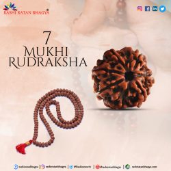 Rashi Ratan Bhagya offer you 10 % Discount on 7 Mukhi Rudraksha