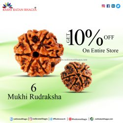 Offer by rashi ratan bhagya :10 % of on 6 Mukhi Rudraksha
