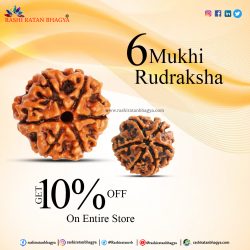 Get 10% off 6 Mukhi Rudraksha Mala Online from Rashi Ratan Bhagya