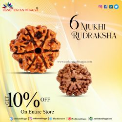 Shravan Sale get 10% Discount on Entier all 6 Mukhi Rudraksha Product