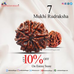 Get 10% off 7 Mukhi Rudraksha Online from Rashi Ratan Bhagya