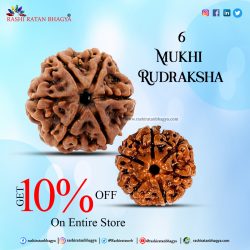 Get 10% Discount Buy 6 Mukhi Rudraksha Beads this Shravan Maas