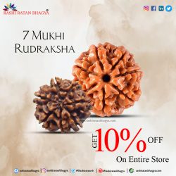 Buy 7 Mukhi Rudraksha Online in India Get A 10% Discount