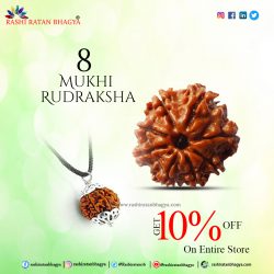 Get 10% Discount Buy 8 Mukhi Rudraksha Beads this Shravan Maas