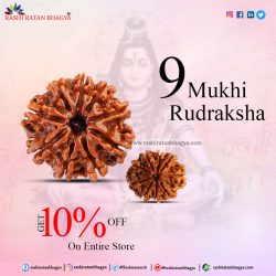 Get flat 10% off on all 9 Mukhi Rudraksha Beads Mala this Shravan Maas