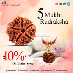 Shravan month sale get 10% discount on 5 Mukhi Rudraksha