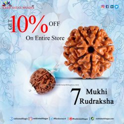 Get 10% Discount Buy 7 Mukhi Rudraksha Beads this Shravan Maas
