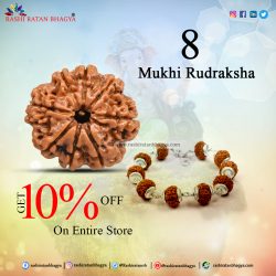 Shravan mah sale get 10% discount on entire 8 Mukhi Rudraksha Beads