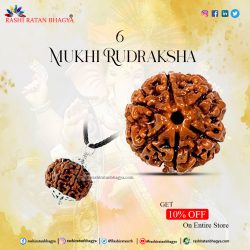 Rashi Ratan Bhagya offer you 10% discount on 6 Mukhi Rudraksha
