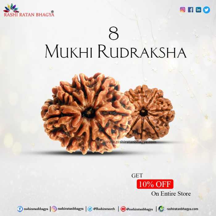 Get 10% off 8 Mukhi Rudraksha Online from Rashi Ratan Bhagya