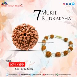 Get 10% off 7 Mukhi Rudraksha Online from Rashi Ratan Bhagya