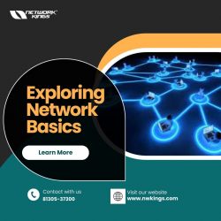 Comprehensive Guide on Network Basics