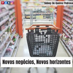 Novos negócios, novos horizontes-Sidney De Queiroz Pedrosa