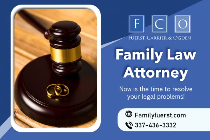 Personalized and Efficient Legal Services