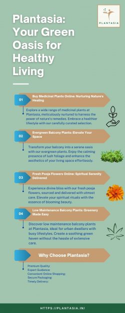 Plantasia: Your Green Oasis for Healthy Living