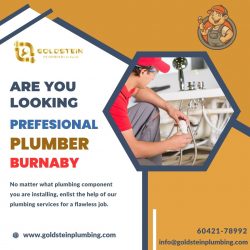 Full-Service Plumbing Solutions: Burnaby’s Best Plumbing Company