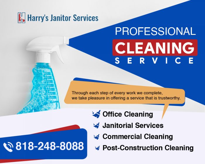 Premium Professional Cleaning Service
