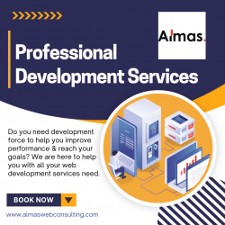 Best Professional Development Services