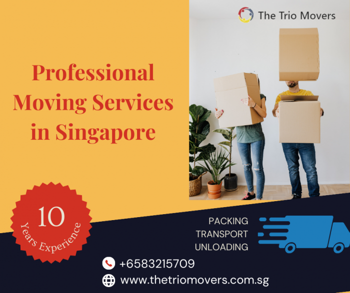 Experience the Security and Convenience of Movers and Storage Solutions