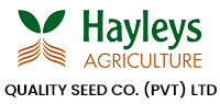 Hayley’s Quality Seed – Flower Seed Manufacturers, Seed Breeding, and Seed Productio ...