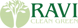RaviBrush | Natural Coir Brush manufacturers