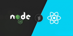 ReactJS vs NodeJS: What’s The Difference?