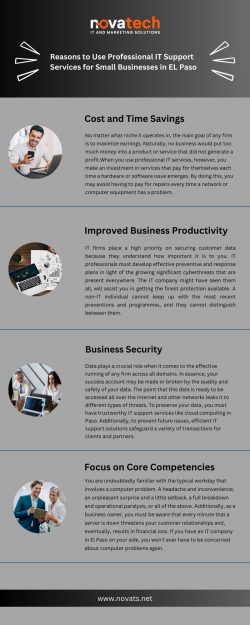 Reasons to Use Professional IT Support Services for Small Businesses in EL Paso