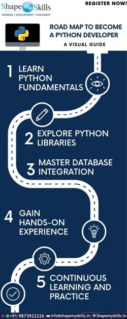 Road Map to Become a Python Developer- A Visual Guide