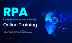 RPA Developer: An Overview