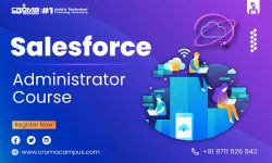 List The Main Role of a Salesforce Administrator