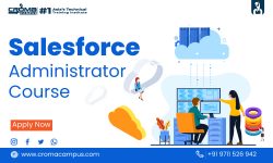 Difference Between Salesforce Administrator And Salesforce Developer
